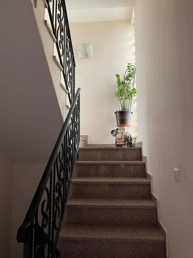 Guesthouse Petrovic เวียร์ปาซาร์ ภายนอก รูปภาพ